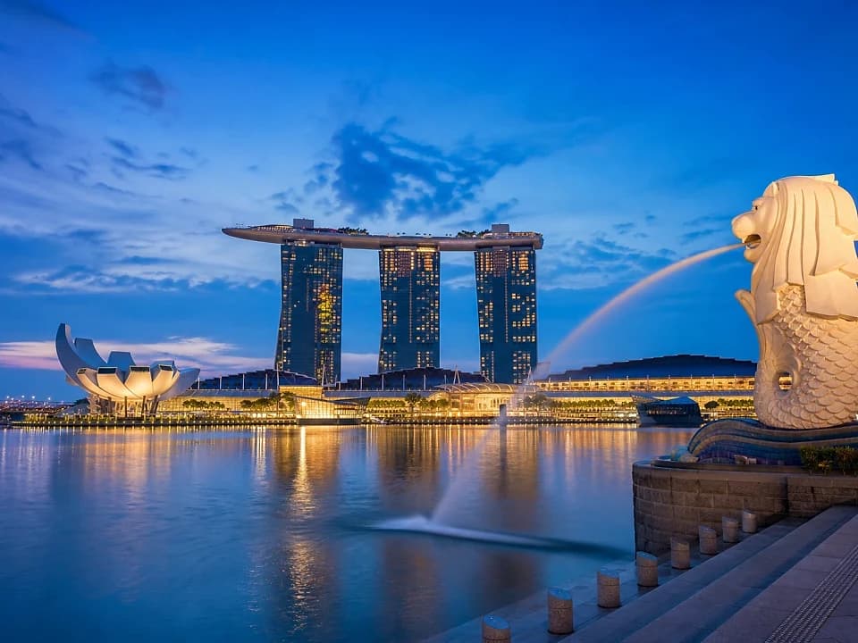 Experience the Night Safari experience in Singapore