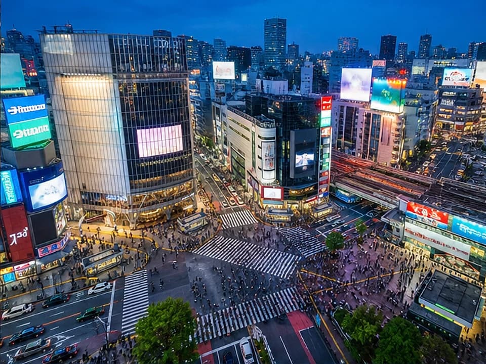 Take a Mount Fuji day trip experience in Tokyo